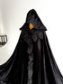 Cape black feathers